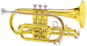 Conn Selmer Flugelhorn